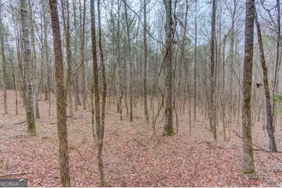 0 Sunshine Road, Toccoa, GA 30577 - Photo 2