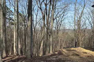 245 Frontier Cir, Summerville, GA 30747 - Photo 2