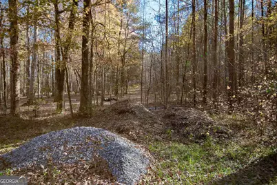 180 Stable Creek Road, Fayetteville, GA 30215 - Photo 4