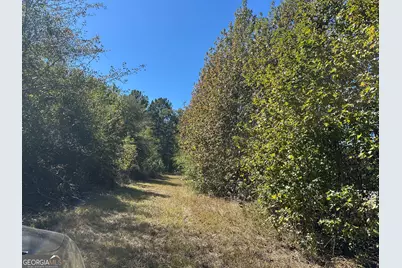 68 Sand Ridge Road, Rhine, GA 31077 - Photo 50