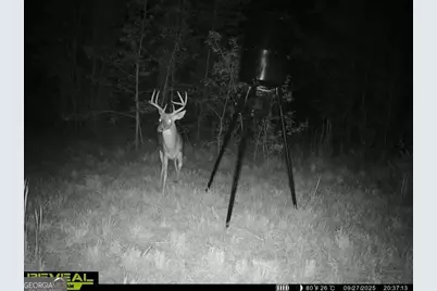 68 Sand Ridge Road, Rhine, GA 31077 - Photo 8