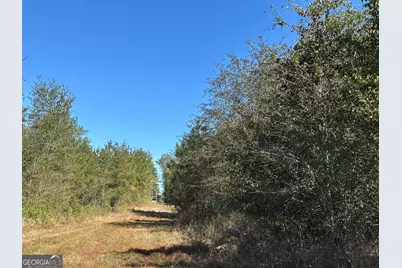 68 Sand Ridge Road, Rhine, GA 31077 - Photo 40