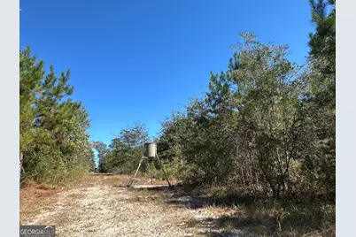 68 Sand Ridge Road, Rhine, GA 31077 - Photo 42