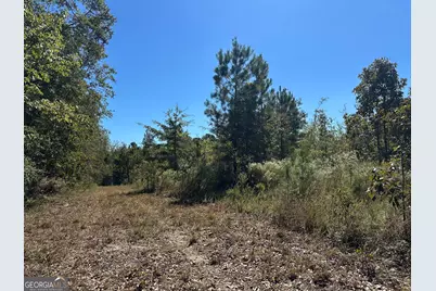 68 Sand Ridge Road, Rhine, GA 31077 - Photo 46