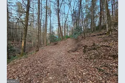 216 Sourwood Drive, Blue Ridge, GA 30513 - Photo 66