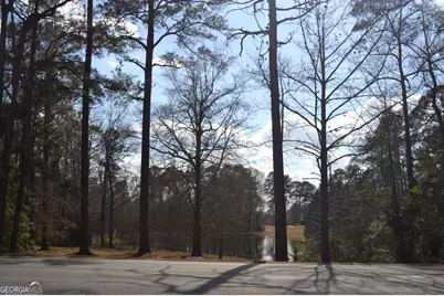 309 Cimarron Court, Macon, GA 31220 - Photo 36