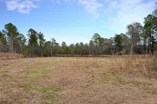 01 Industrial Park Rd, Sylvania, GA 30467 - Photo 1