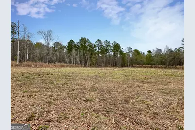 01 Industrial Park Road, Sylvania, GA 30467 - Photo 4