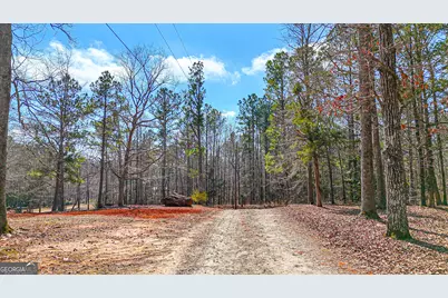216 Ponderosa Lane, Barnesville, GA 30204 - Photo 110