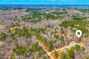 216 Ponderosa Ln, Barnesville, GA 30204 - Photo 120