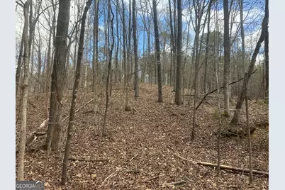 0 Gibson Rd, Talbotton, GA 31827 - Photo 18