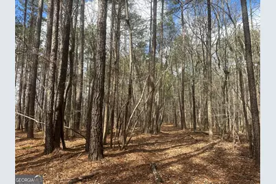 0 Gibson Rd, Talbotton, GA 31827 - Photo 4