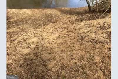 0 Gibson Rd, Talbotton, GA 31827 - Photo 22