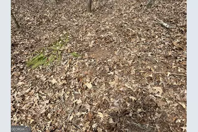 0 Gibson Rd, Talbotton, GA 31827 - Photo 10