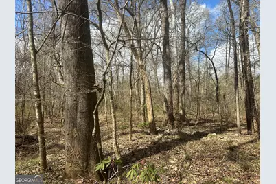 0 Gibson Rd, Talbotton, GA 31827 - Photo 28