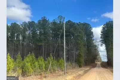 0 Gibson Rd, Talbotton, GA 31827 - Photo 14