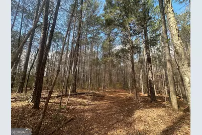 0 Gibson Rd, Talbotton, GA 31827 - Photo 8