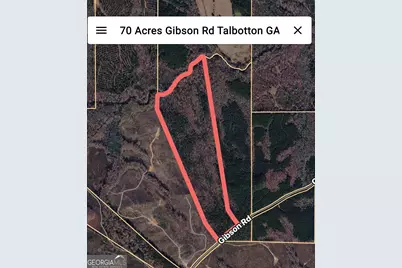 0 Gibson Rd, Talbotton, GA 31827 - Photo 38
