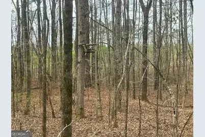 0 Gibson Rd, Talbotton, GA 31827 - Photo 16
