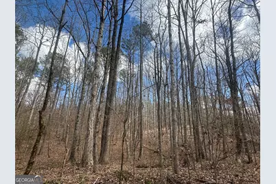 0 Gibson Rd, Talbotton, GA 31827 - Photo 36