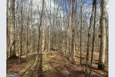 0 Gibson Rd, Talbotton, GA 31827 - Photo 20