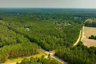 4000 Old River Rd S, Brooklet, GA 30415 - Photo 42