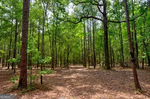 4000 Old River Rd S, Brooklet, GA 30415 - Photo 38