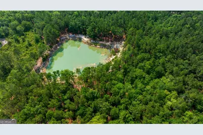 4000 Old River Road S, Brooklet, GA 30415 - Photo 40