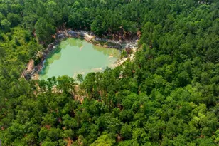 4000 Old River Rd S, Brooklet, GA 30415 - Photo 40