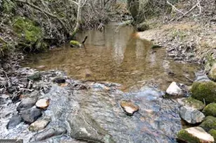 203 Green Acres Rd, Blairsville, GA 30512 - Photo 44