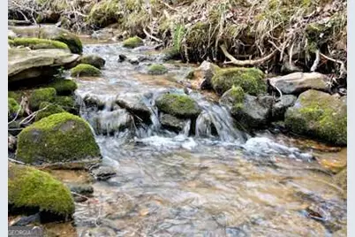 203 Green Acres Road, Blairsville, GA 30512 - Photo 42