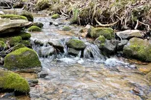 203 Green Acres Rd, Blairsville, GA 30512 - Photo 42