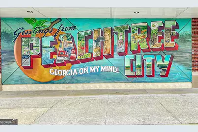 13 Perthshire Drive, Peachtree City, GA 30269 - Photo 32