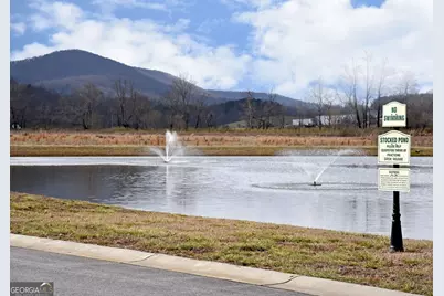 101 Foggy Mtn Road, Blairsville, GA 30512 - Photo 16