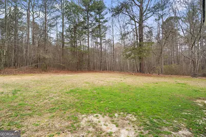 135 Highway 154, Sharpsburg, GA 30277 - Photo 38