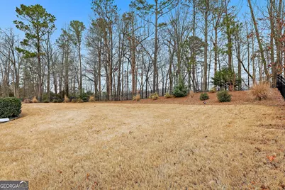 67 Redwine Overlook, Newnan, GA 30263 - Photo 42