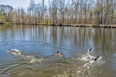 7329 Houston Road, Macon, GA 31216 - Photo 8