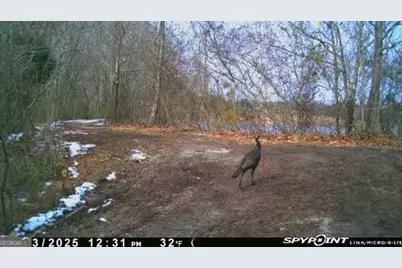 7329 Houston Road, Macon, GA 31216 - Photo 46