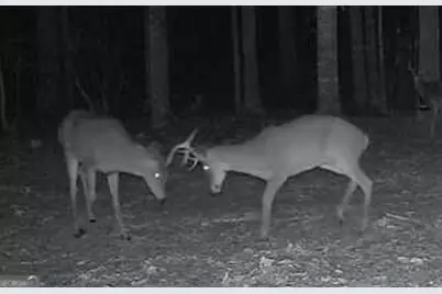 7329 Houston Road, Macon, GA 31216 - Photo 42