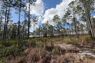 6642 Old Moniac Rd, Saint George, GA 31562 - Photo 26