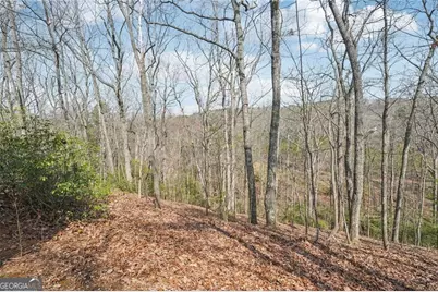 29 Red Trillium Ridge, Jasper, GA 30143 - Photo 58