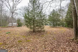 3819 Mason Creek Rd, Winston, GA 30187 - Photo 50