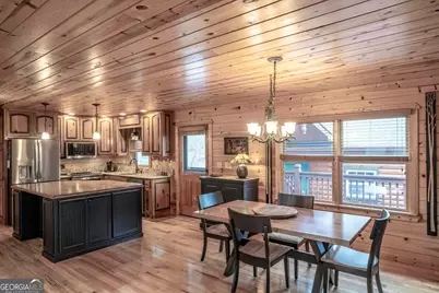 225 Hiawatha Trail, Blue Ridge, GA 30513 - Photo 10