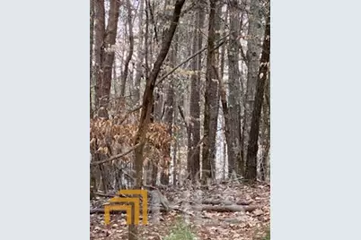 0 Bluff Road, Elberton, GA 30635 - Photo 1