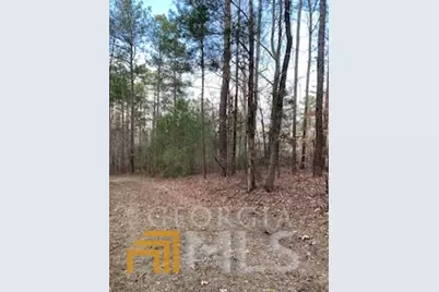 0 Bluff Road, Elberton, GA 30635 - Photo 4