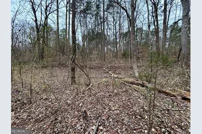 0 Lakeshore Road, Martin, GA 30557 - Photo 6