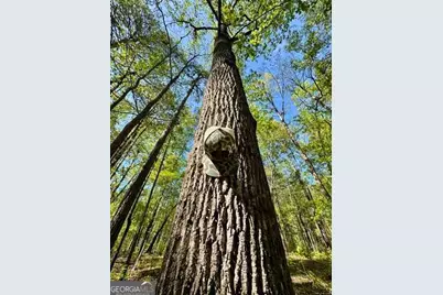 0 Ga Highway 87, Juliette, GA 31046 - Photo 16