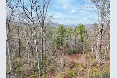 421 Hickory Nut Mtn, Tallulah Falls, GA 30573 - Photo 56