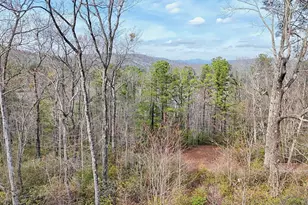421 Hickory Nut Mountain, Tallulah Falls, GA 30573 - Photo 56