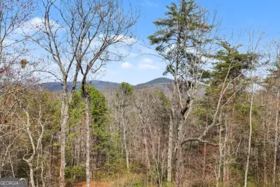 421 Hickory Nut Mtn, Tallulah Falls, GA 30573 - Photo 24